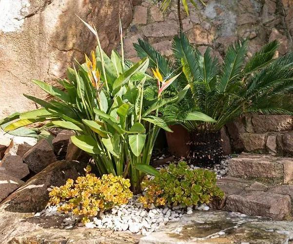 Вилла Sea View Cascais Design Алкабидеше